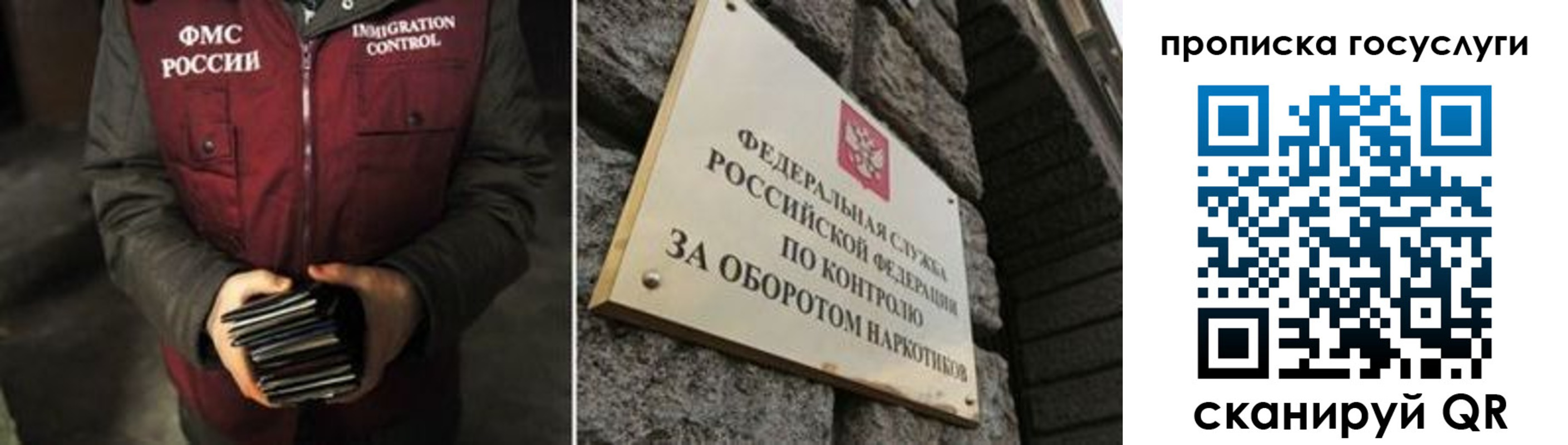 временная регистрация поиск в Александровске